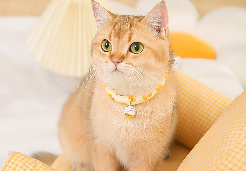 ZezeLife Duck Yellow Cat Collar, view 5