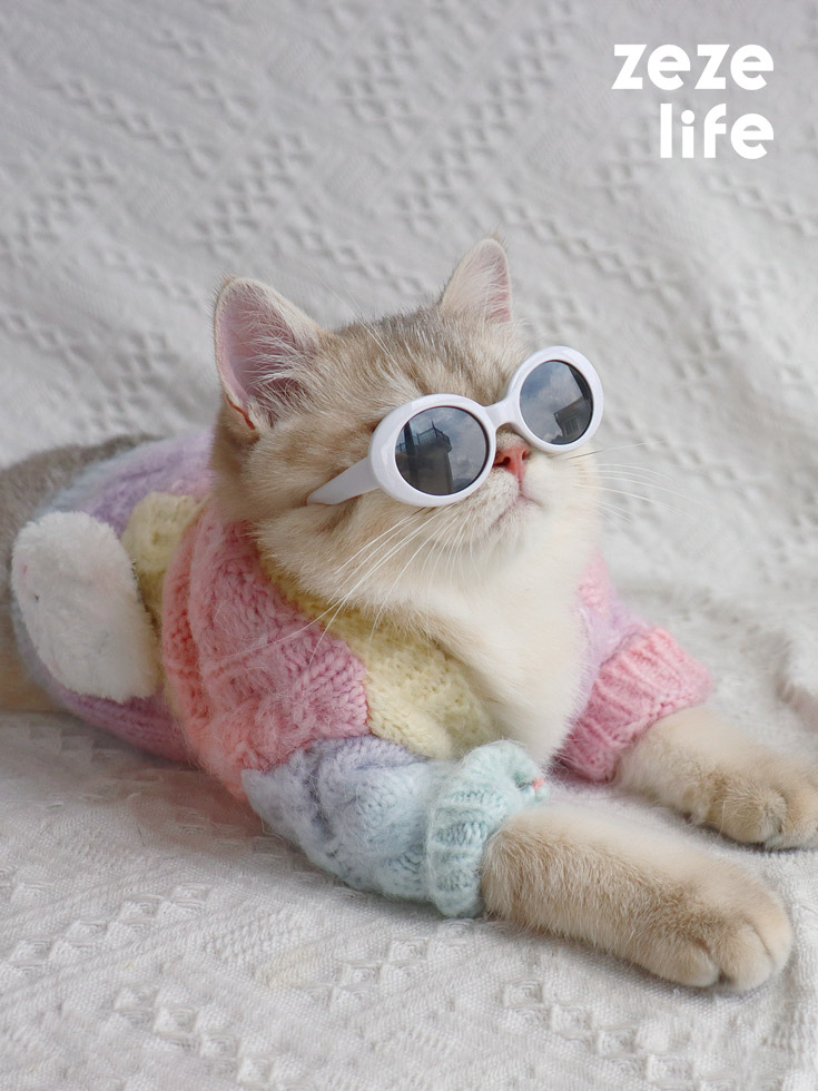 ZezeLife Dyed Rainbow Sweater Cat Clothes, view 2