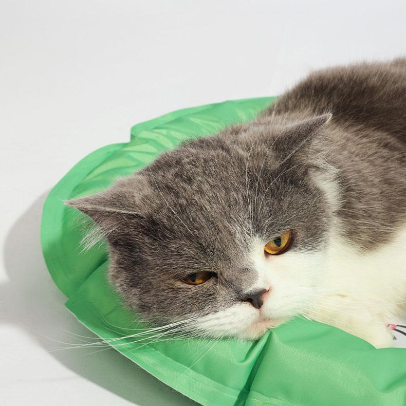 ZezeLife Earth Animal Cooling Cat Mat, view 3