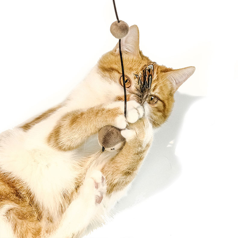 ZezeLife Elastic Cord Flying Bird Cat Toy, view 3