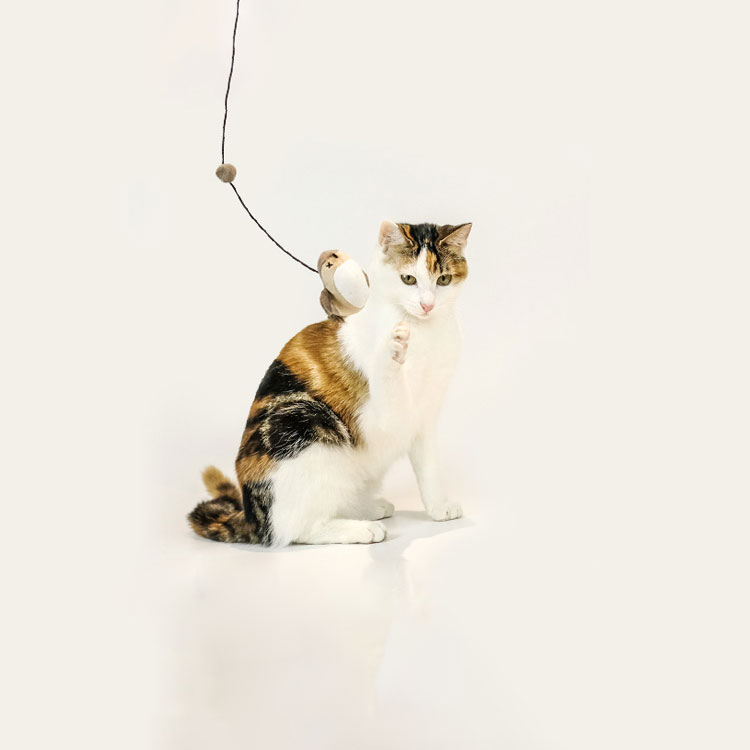 ZezeLife Elastic Cord Flying Bird Cat Toy, view 4