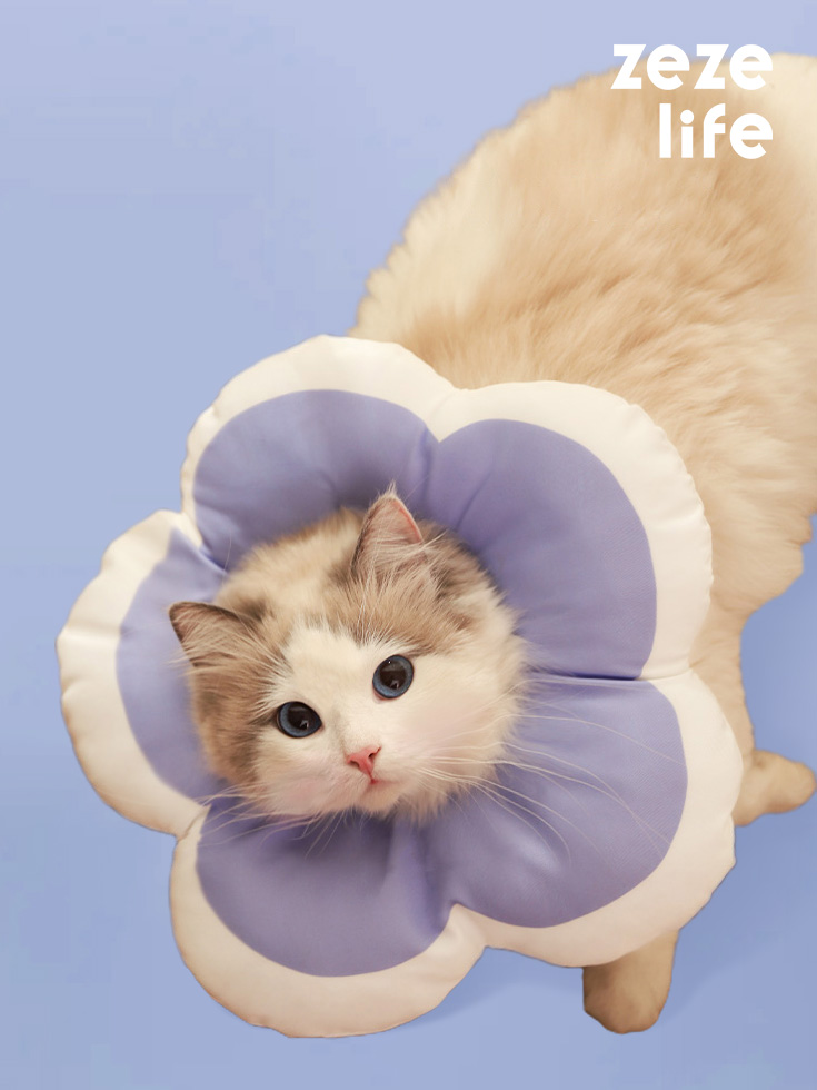 ZezeLife Flower Cat Cone