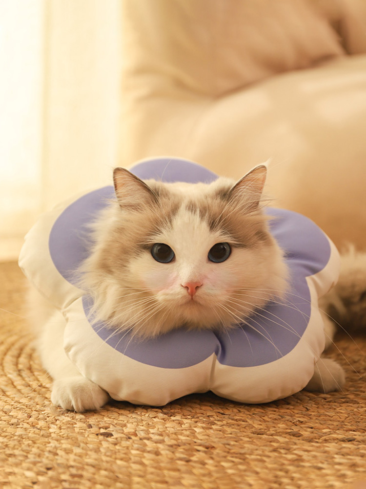 ZezeLife Flower Cat Cone, view 4