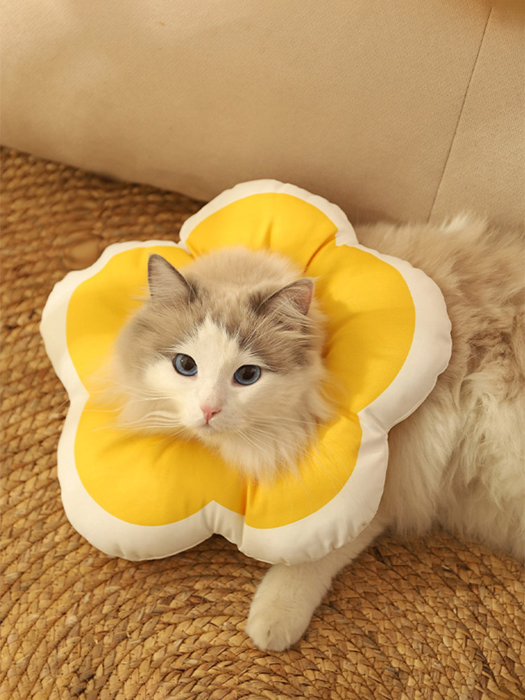 ZezeLife Flower Cat Cone, view 5
