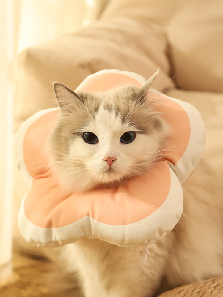 ZezeLife Flower Cat Cone, view 6