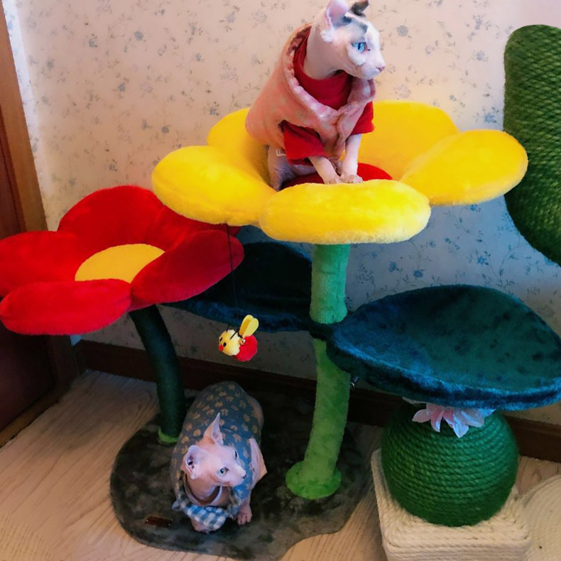 ZezeLife Flower Shape Cat Tree, view 3