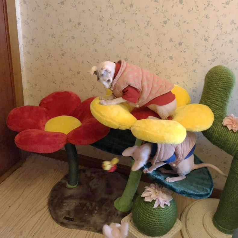 ZezeLife Flower Shape Cat Tree, view 4
