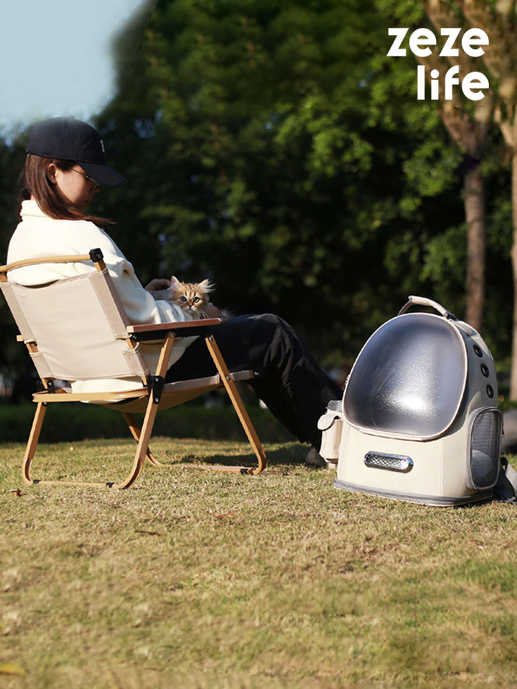 ZezeLife Frosted Semi-Transparent Cat Spaceship Backpack