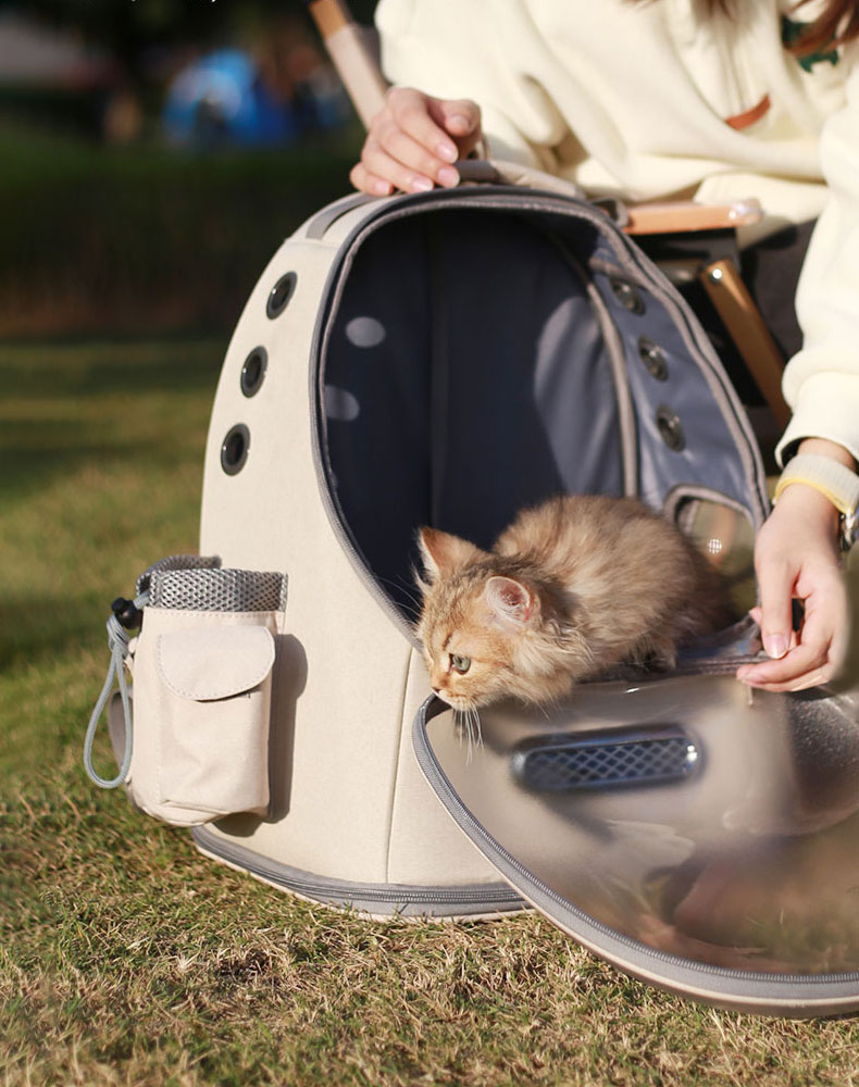 ZezeLife Frosted Semi-Transparent Cat Spaceship Backpack, view 3