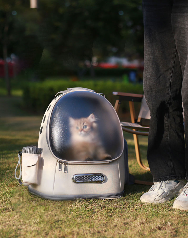ZezeLife Frosted Semi-Transparent Cat Spaceship Backpack, view 6