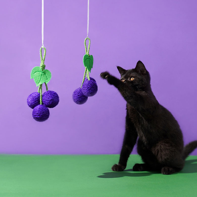 ZezeLife Fruit Series Sisal Rope Cat Toy, view 4