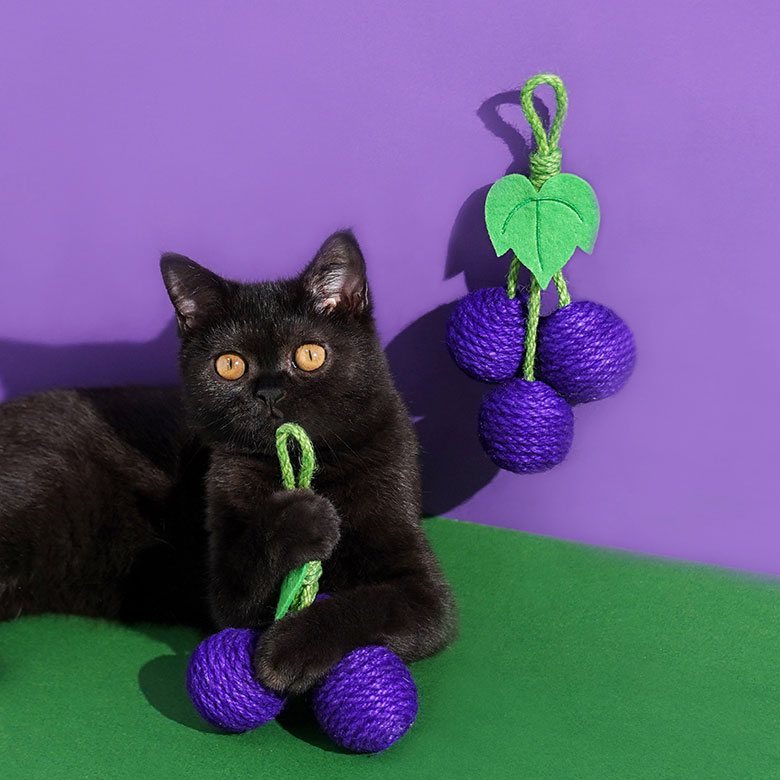 ZezeLife Fruit Series Sisal Rope Cat Toy, view 5