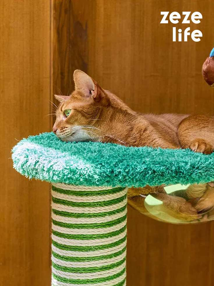 ZezeLife Garden Cat Climbing Frame, view 5