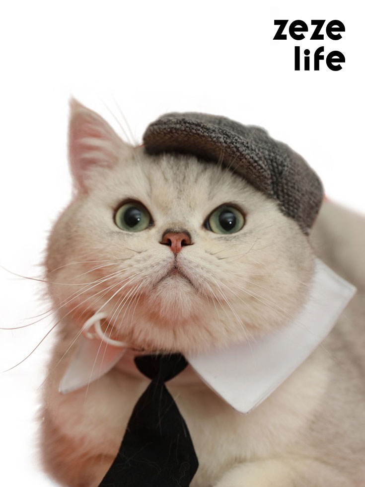 ZezeLife Gentleman Hat Cat Beret