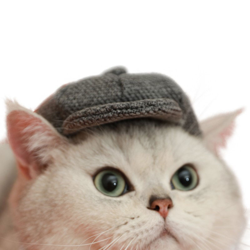 ZezeLife Gentleman Hat Cat Beret, view 3