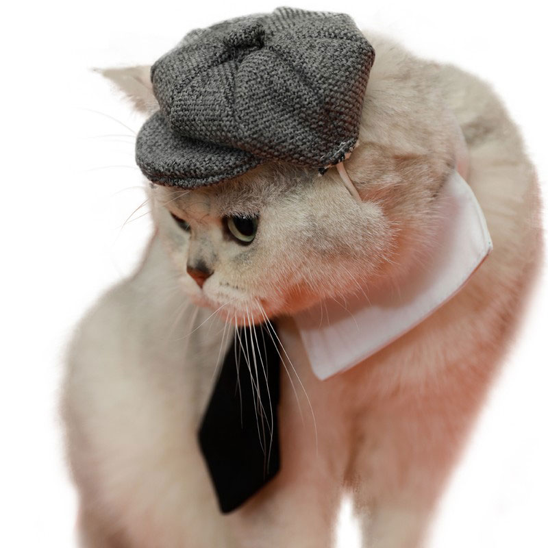 ZezeLife Gentleman Hat Cat Beret, view 4