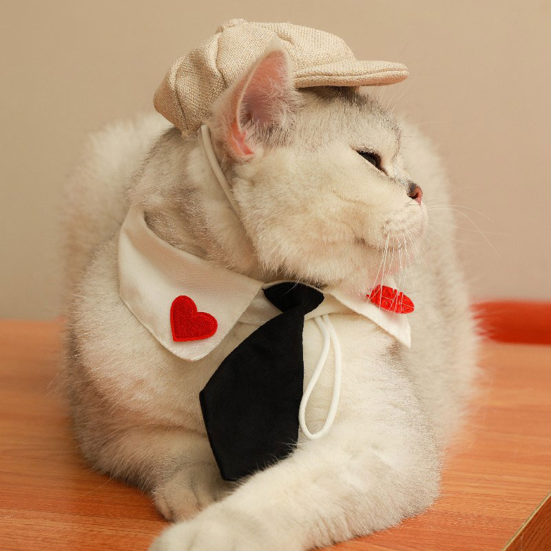 ZezeLife Gentleman Hat Cat Beret, view 6