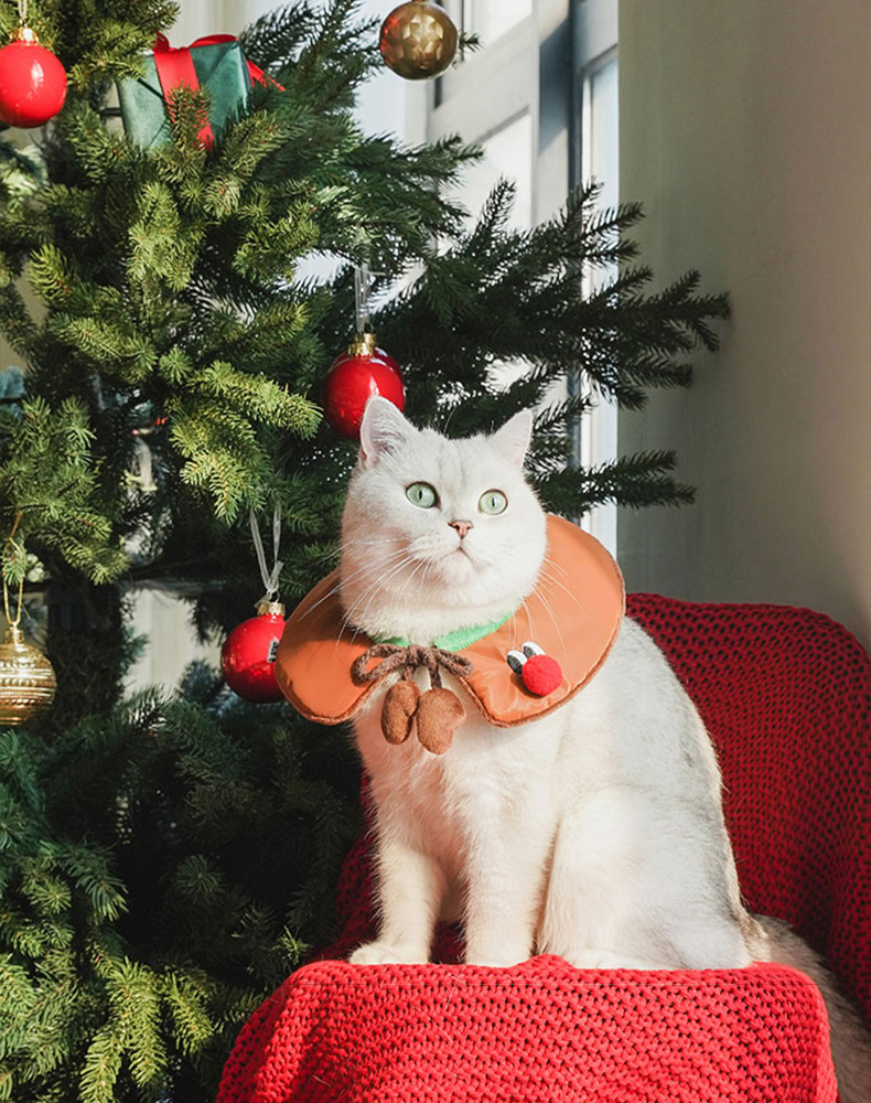 ZezeLife Gift Set Cat Christmas Costumes, view 5