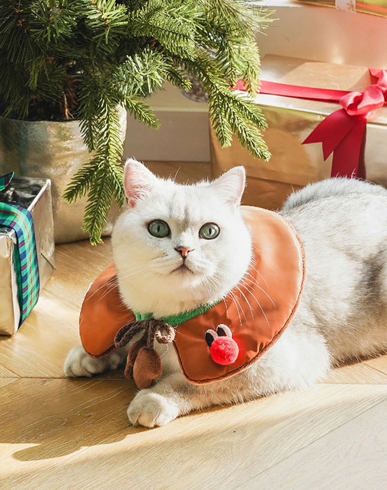 ZezeLife Gift Set Cat Christmas Costumes, view 6
