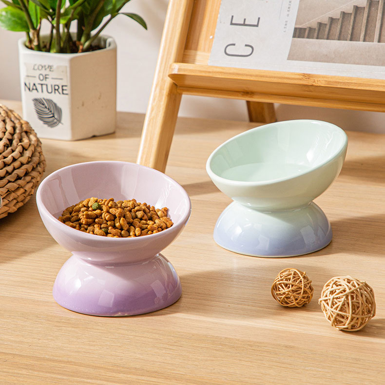 ZezeLife Gradient Color Elevated Cat Bowls, view 3