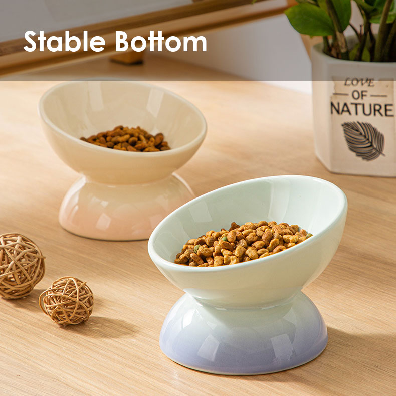 ZezeLife Gradient Color Elevated Cat Bowls, view 6