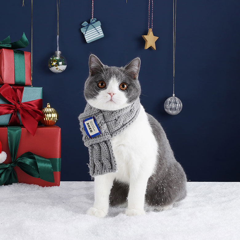 ZezeLife Gray Scarf Cat Bib, view 6