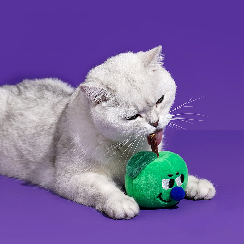 ZezeLife Green Apple Silvervine Cat Toy, view 4