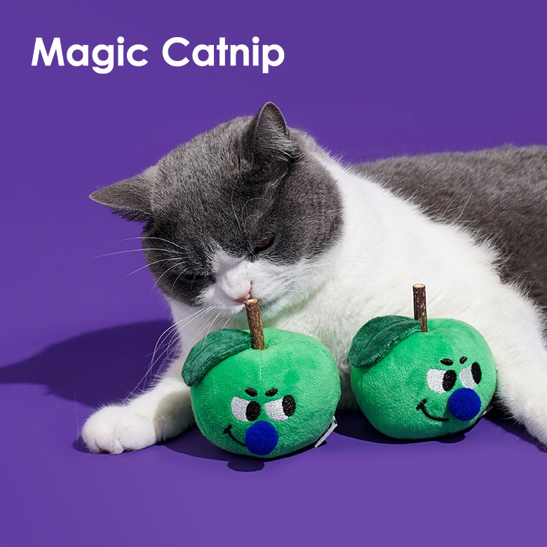 ZezeLife Green Apple Silvervine Cat Toy, view 6