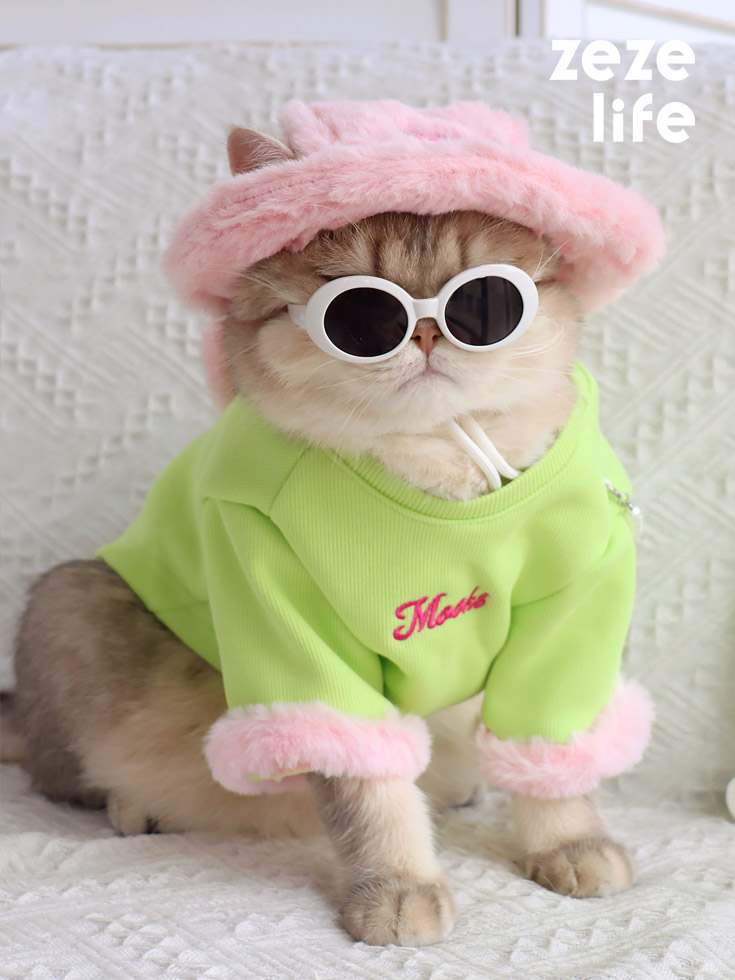 ZezeLife Green Cat Clothes with Pink Bag