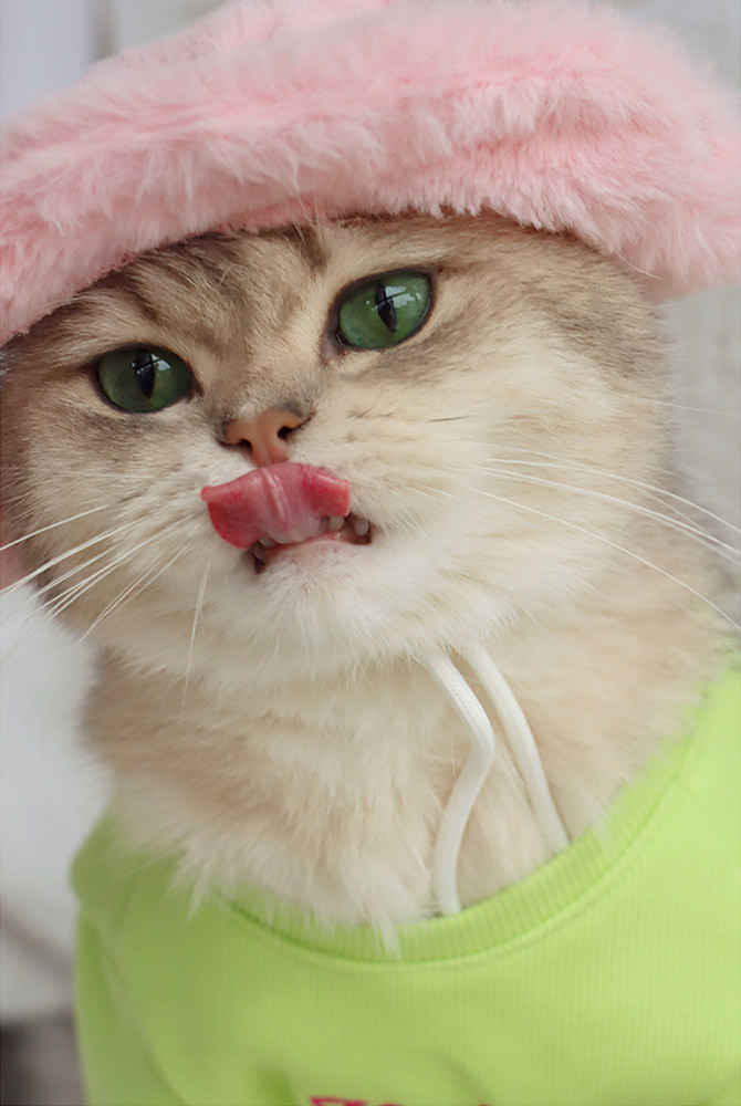 ZezeLife Green Cat Clothes with Pink Bag, view 3