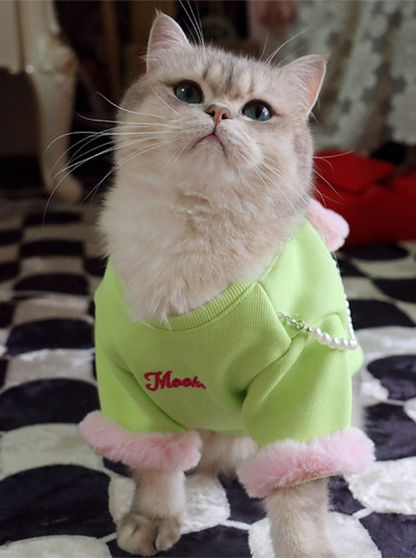 ZezeLife Green Cat Clothes with Pink Bag, view 4