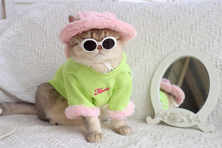 ZezeLife Green Cat Clothes with Pink Bag, view 5