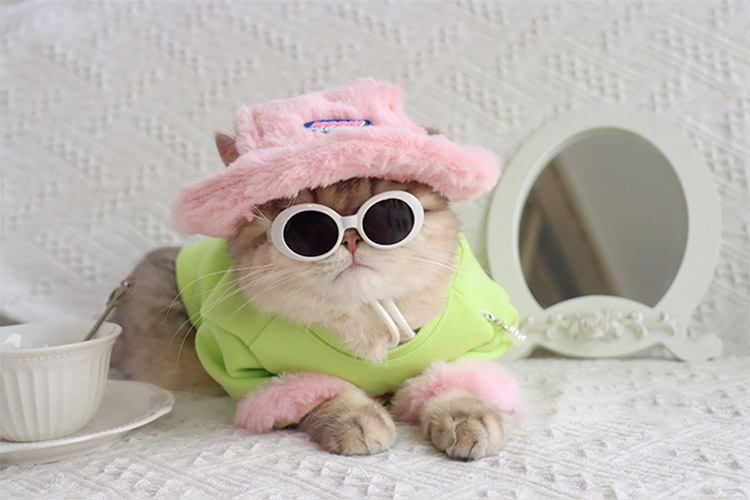 ZezeLife Green Cat Clothes with Pink Bag, view 6
