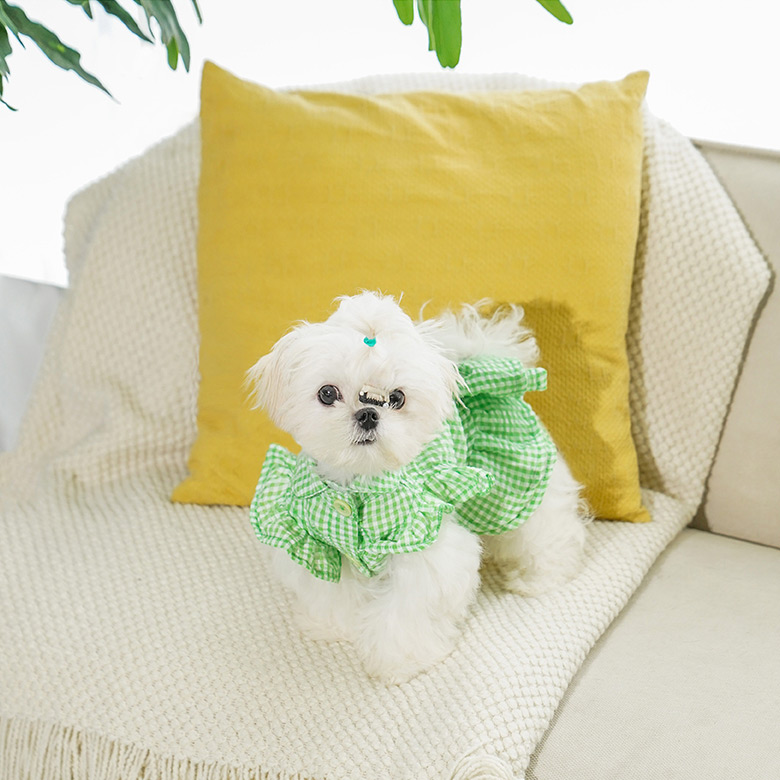 ZezeLife Green Plaid Cat Dress with Headgear, view 5