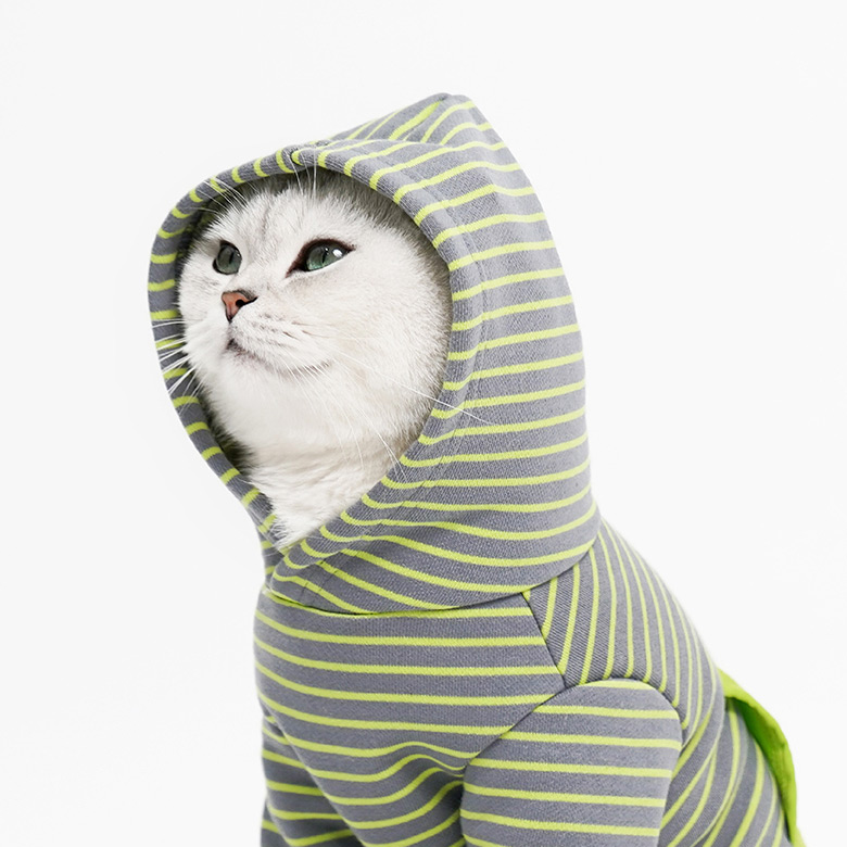 ZezeLife Green Stripes Cat Clothes, view 4