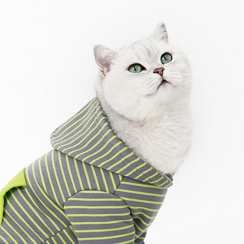 ZezeLife Green Stripes Cat Clothes, view 6