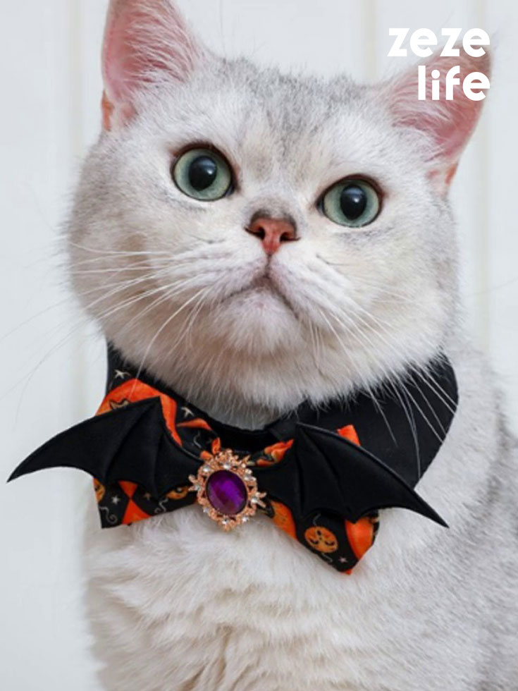 ZezeLife Halloween Cat Collar
