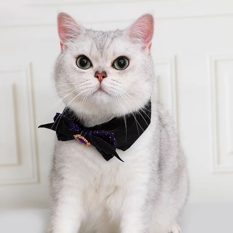 ZezeLife Halloween Cat Collar, view 3