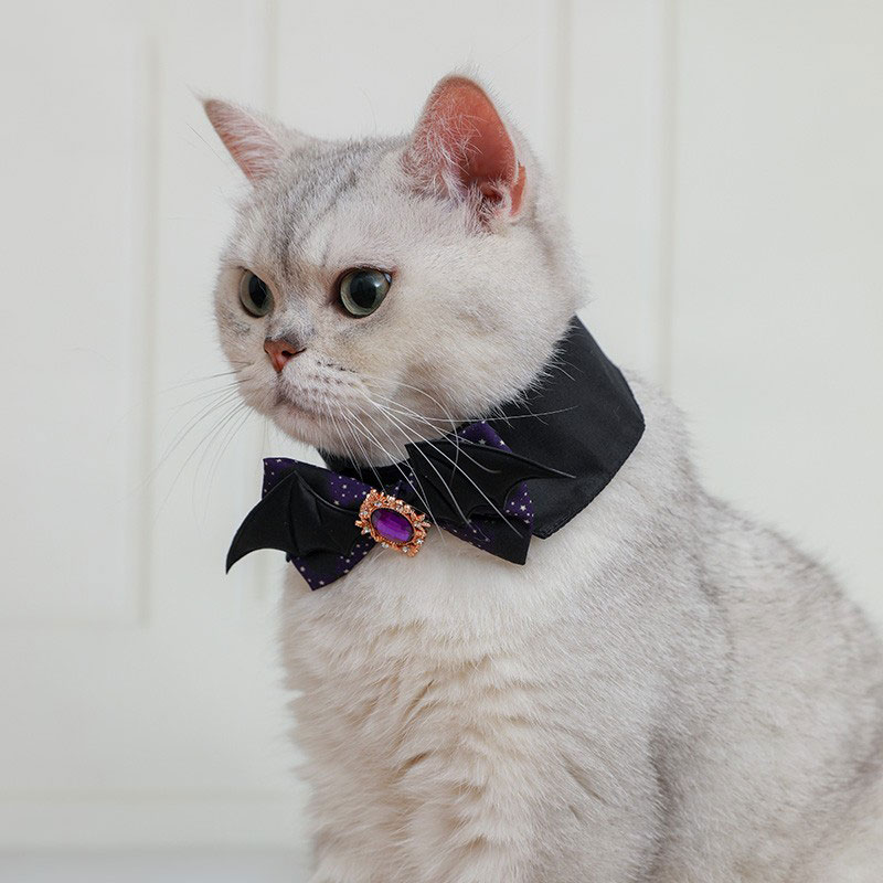 ZezeLife Halloween Cat Collar, view 4