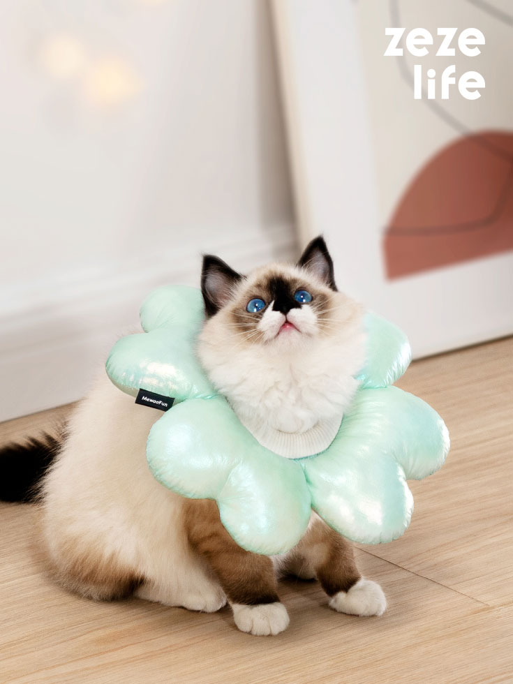 ZezeLife Laser Waterproof Cat Cone, view 2