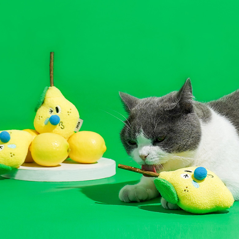 ZezeLife Lemon Silvervine Cat Toy, view 3