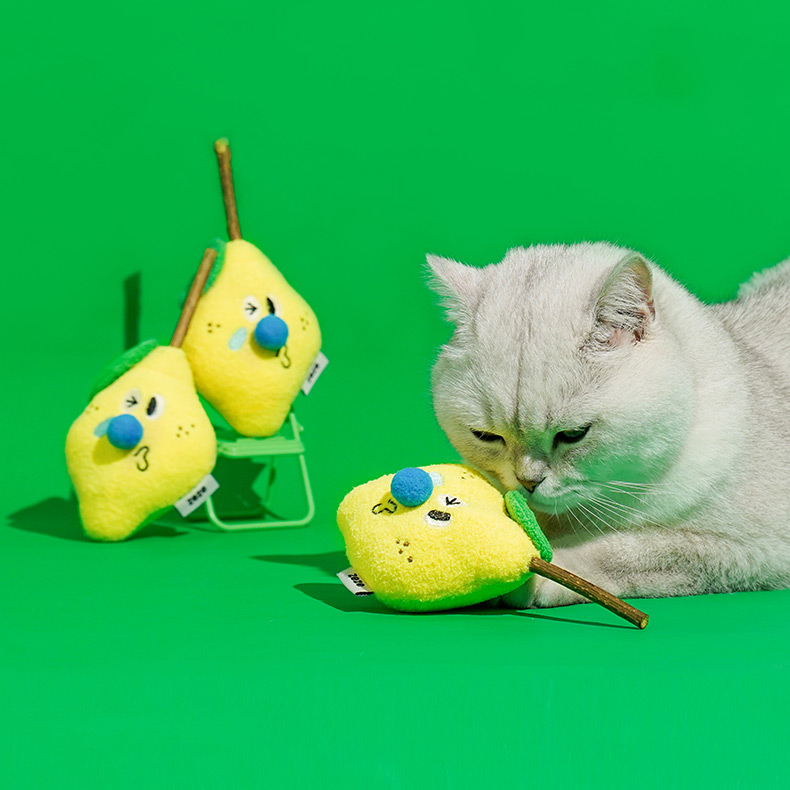 ZezeLife Lemon Silvervine Cat Toy, view 5