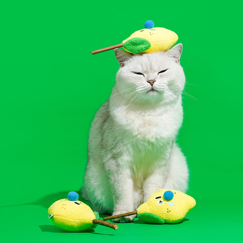 ZezeLife Lemon Silvervine Cat Toy, view 6
