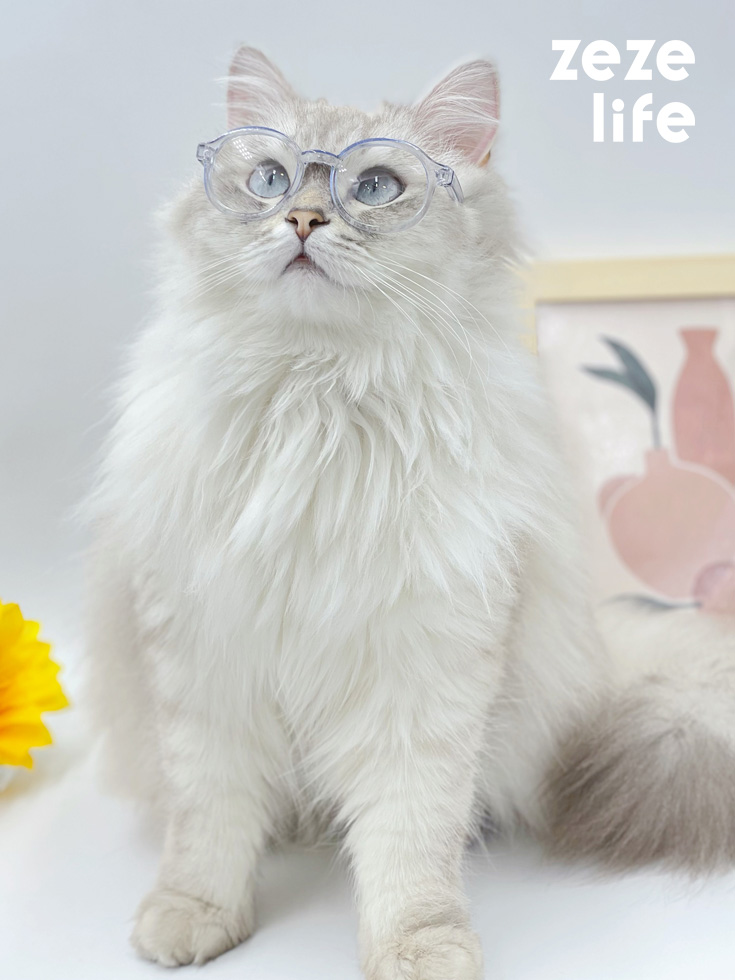 ZezeLife Lensless Cat Glasses, view 2