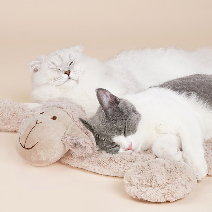 ZezeLife Little Lamb Cat Mat, view 6
