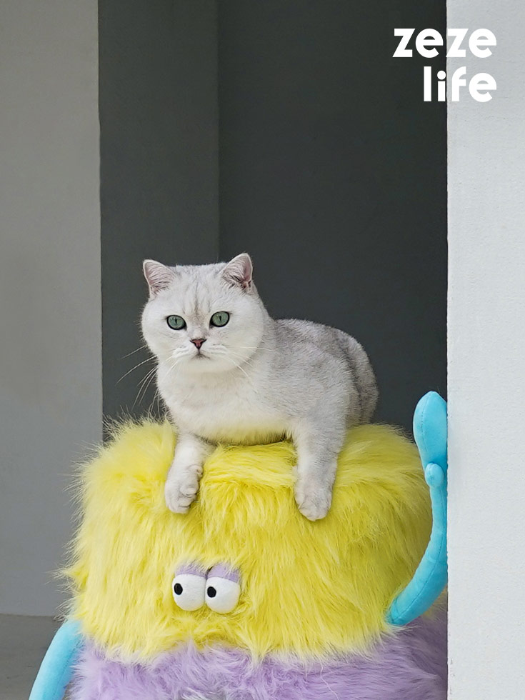 ZezeLife Little Monster Stool Cat Bed, view 2