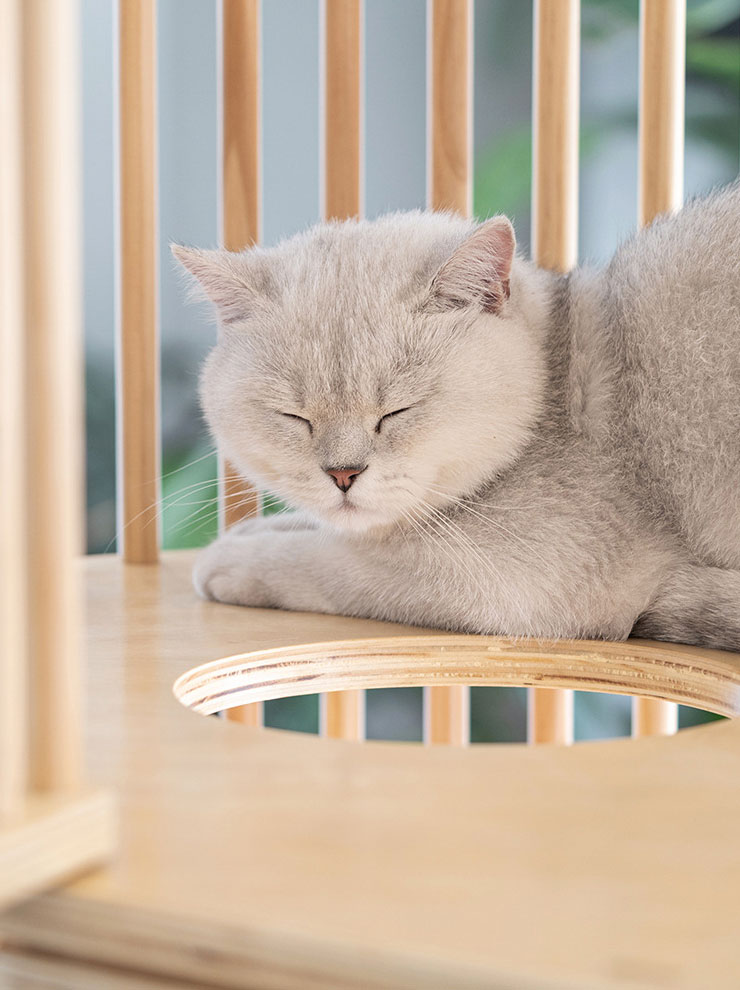 ZezeLife Log Color Cat Cage, view 3