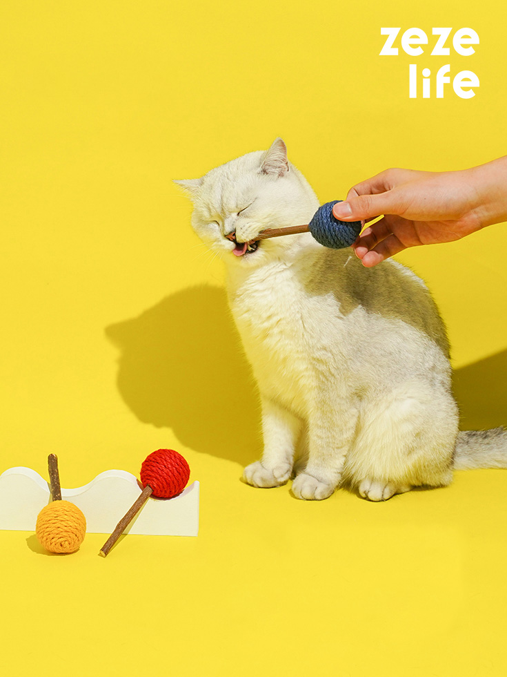 ZezeLife Lollipop Silvervine Cat Toy Set โ 3 Colors