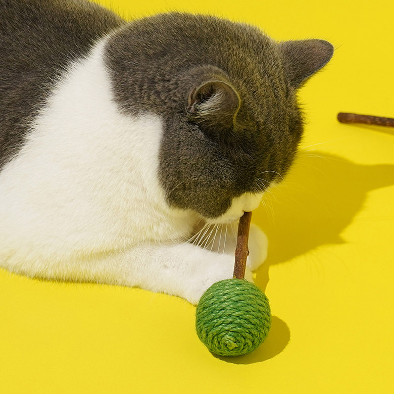 ZezeLife Lollipop Silvervine Cat Toy  Set – 3 Colors, view 5
