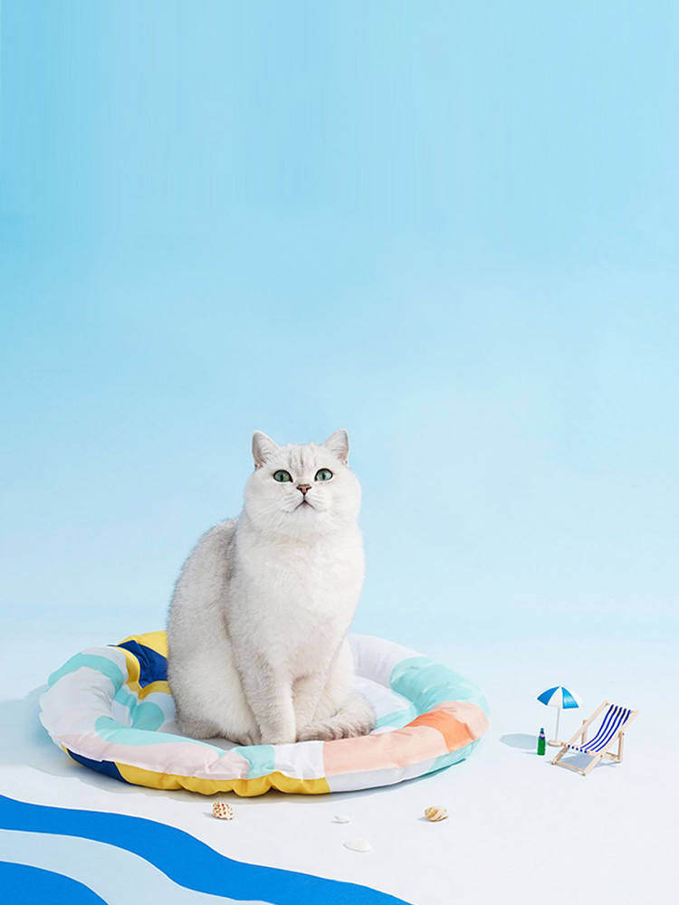 ZezeLife Modern-style Cooling Mat For Cats, view 5